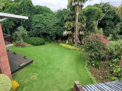 Birds of Paradise B&B