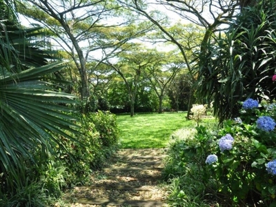 Birds of Paradise B&B