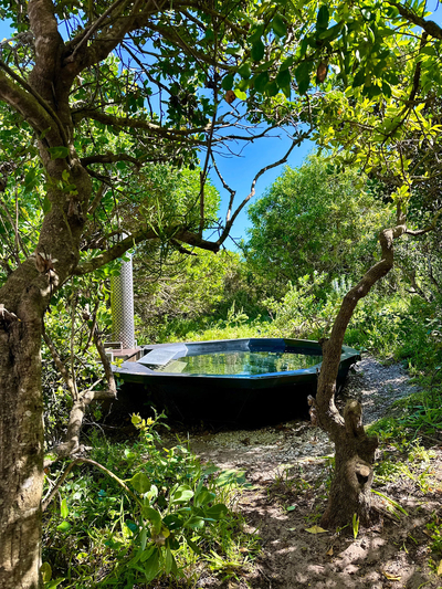 Exclusive Use Holiday Home