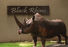 Black Rhino Game Lodge