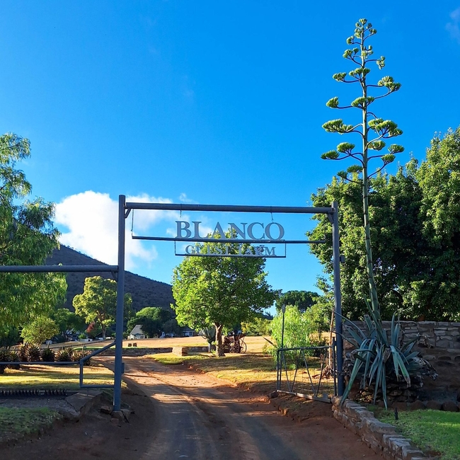 Blanco Guest Farm and Holiday Resort