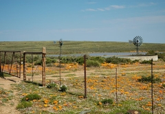 Blesfontein Guest Farm
