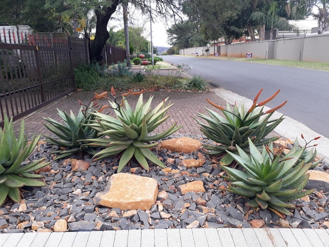 Blessings Guest House