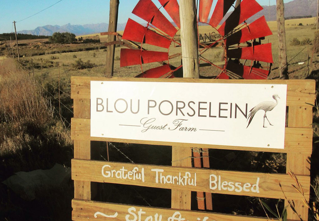 Blou Porselein Guestfarm