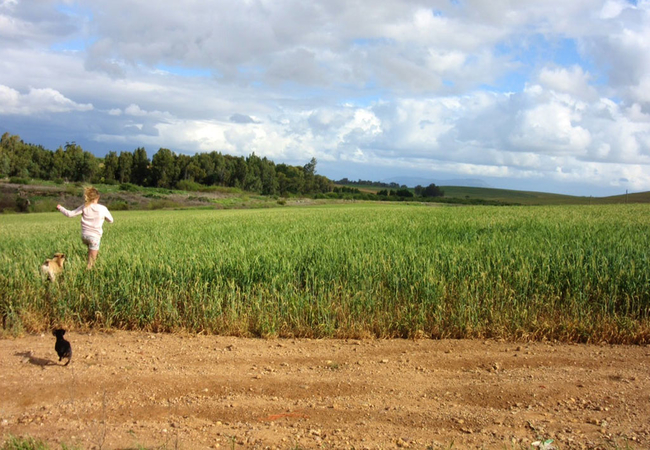 Blou Porselein Guestfarm