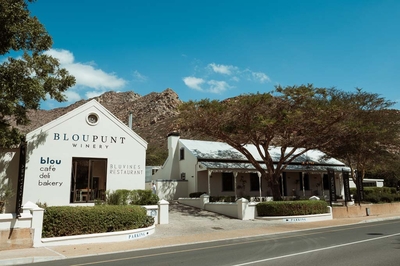 Bloupunt Winery