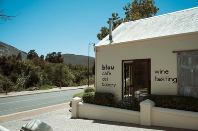 Bloupunt Winery