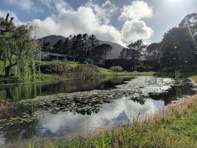 Blue Gum Country Estate