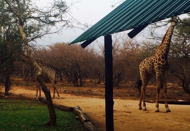 Blyde River Cosy Cabin