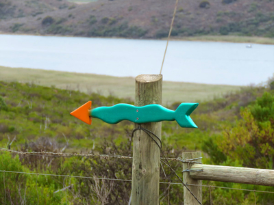 Exclusive Use Holiday Home