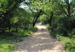 Bonamanzi Game Park