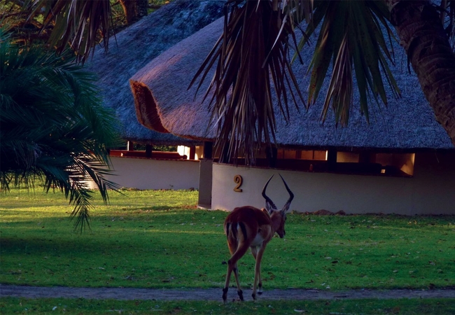 Lalapanzi Deluxe Chalet