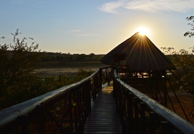 Bona Ngwenya Lodge 