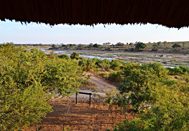 Bona Ngwenya Lodge 