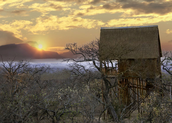 Bona Ntaba Tree House Lodge