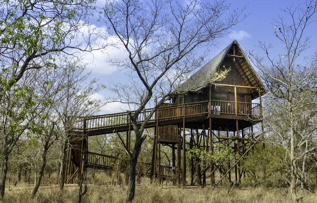 Family Tree House