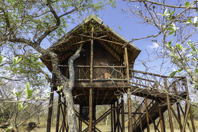 Tree House with Kitchen and Boma 