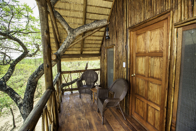 Impala Tree House