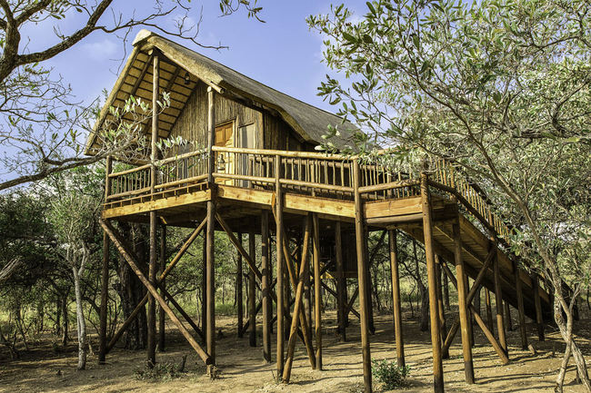 Impala Tree House