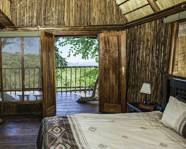 Giraffe Family Tree House 