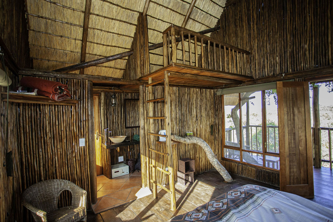 Giraffe Family Tree House 