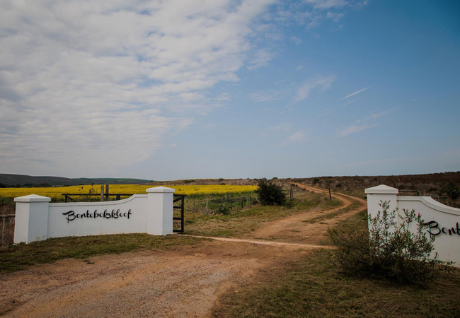 Bontebokskloof Manor