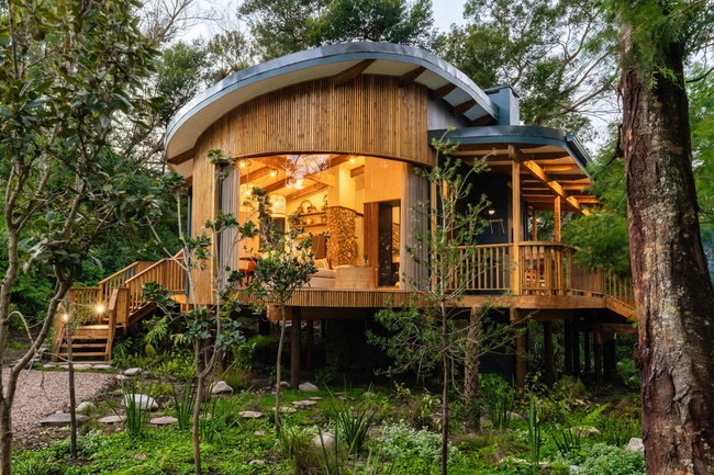 Boomhuis Farm Stay