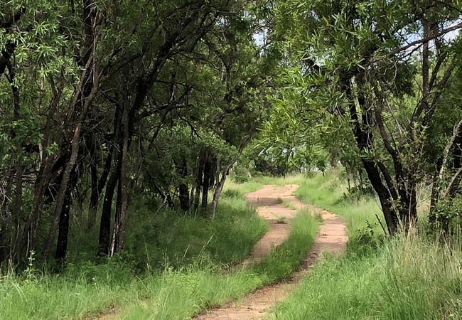 Bush Walks/Hiking Trails