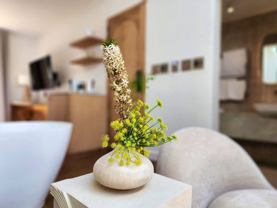 Botany House Boutique Retreat