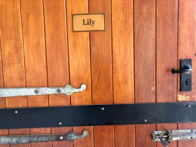 Lily Room