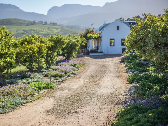 Guava Cottage