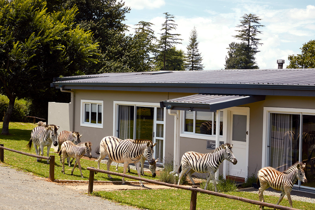 Three-Bedroom Cottage