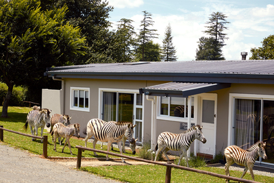Three-Bedroom Cottage