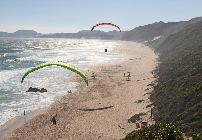 Paragliders