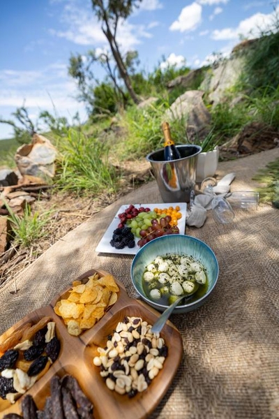 Buffalo Ridge Safari Lodge
