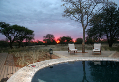 Buffalo Thorn Safari Lodge