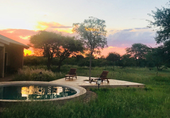 Buffalo Thorn Safari Lodge