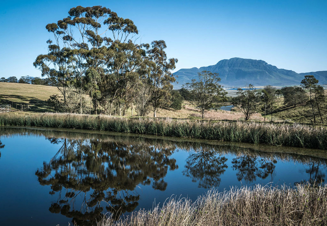 View from the cabins