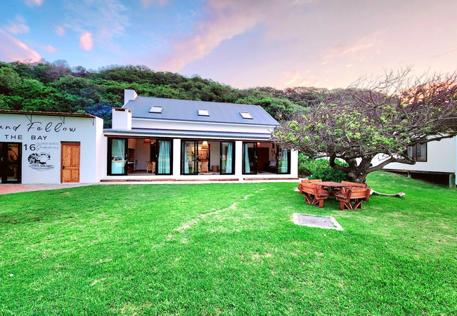 Buff and Fellow by the Bay