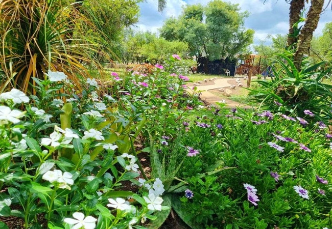 Bushbabies Camp