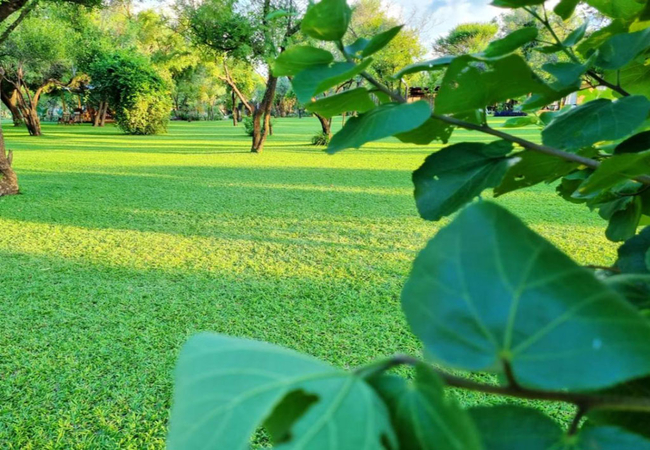 Bushbabies Lodge