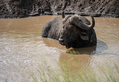 Bushlands Game Lodge