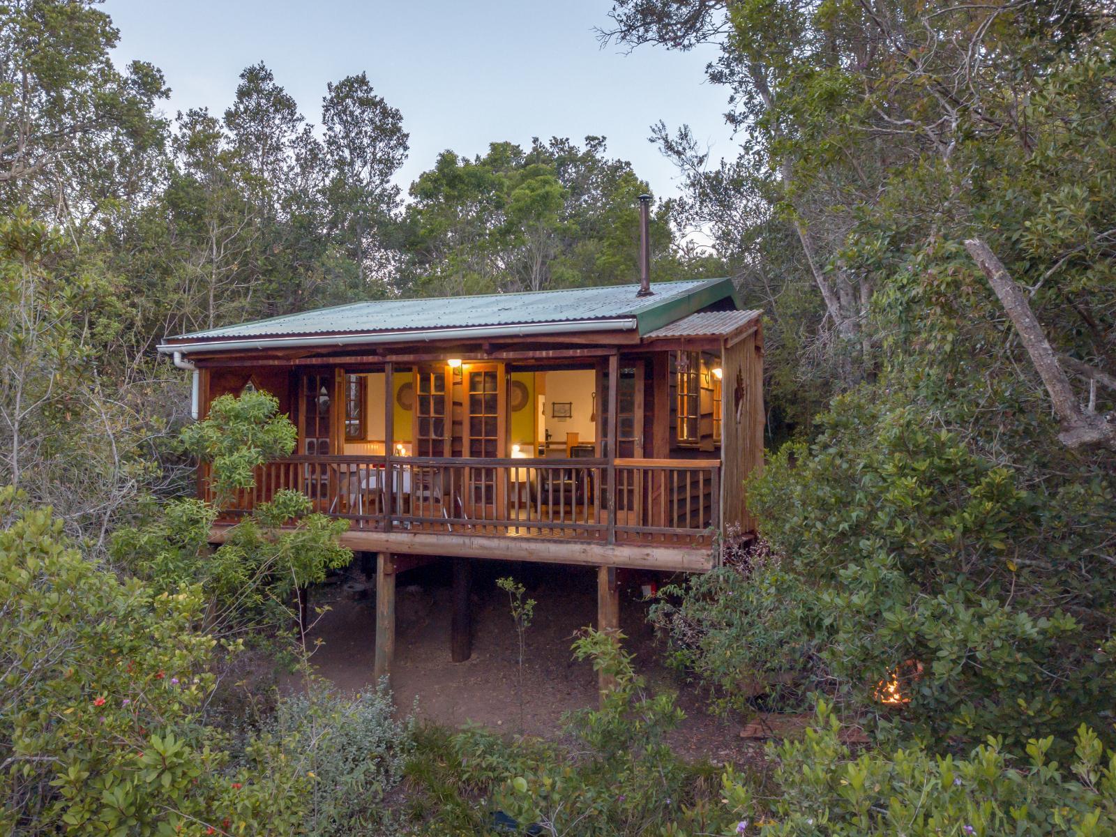 Bushpig Forest Cabin 