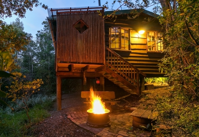 Bushpig Forest Cabin 