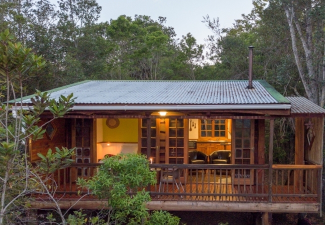 Bushpig Forest Cabin 