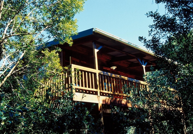 Bushpig Forest Cabin 