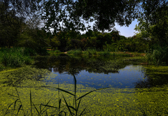 Bush Villas on Kruger