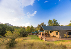 Bushwillow Tented Camp