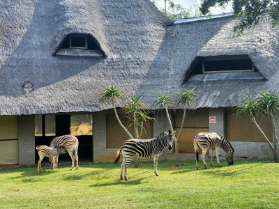 Buyskop Lodge