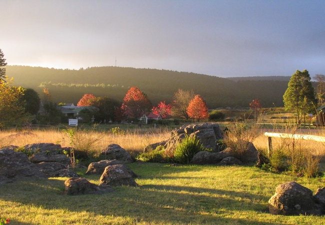 Kaapsehoop in autumn